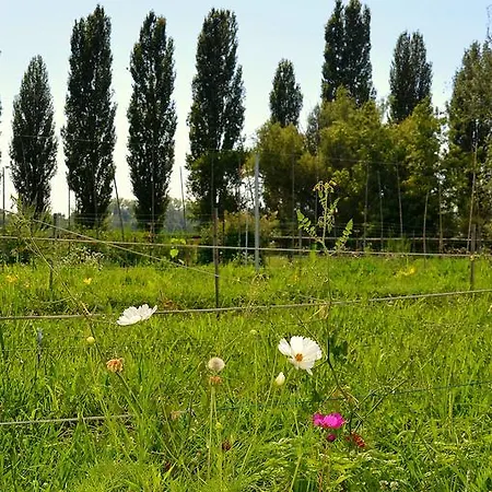 Borgo San Francesco Farm stay