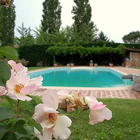 Borgo San Francesco