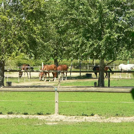 Farm stay Borgo San Francesco Basiglio